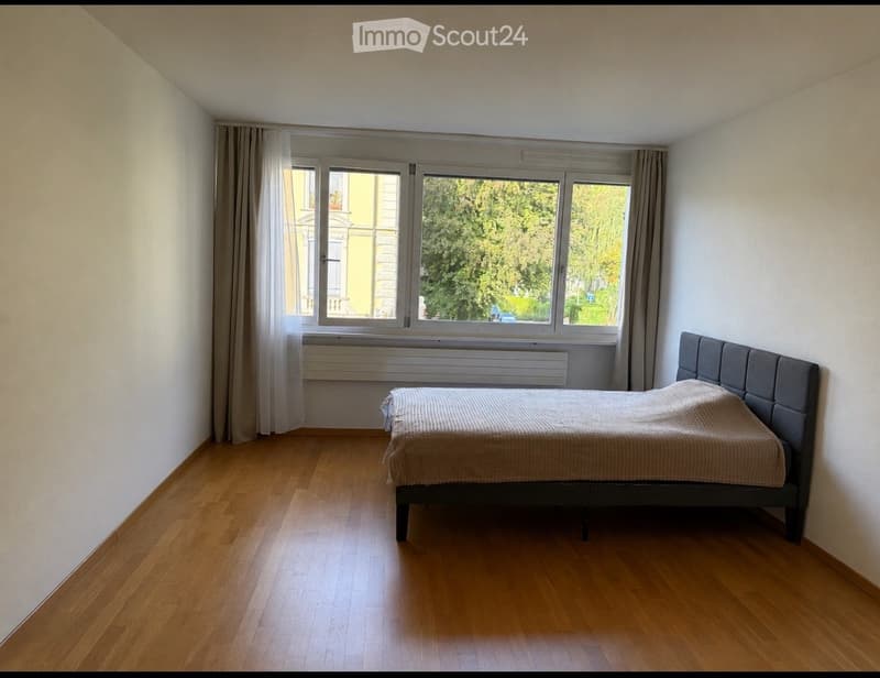 Minimalist bedroom with wooden flooring, large window with curtains, grey upholstered bed, and radiator below the window.