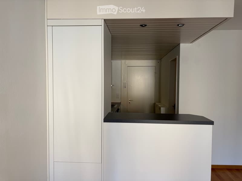 A modern, minimalist hallway with white walls, a sleek black countertop, and a wooden floor. The hallway leads to a room with a door and a small cabinet visible in the background.