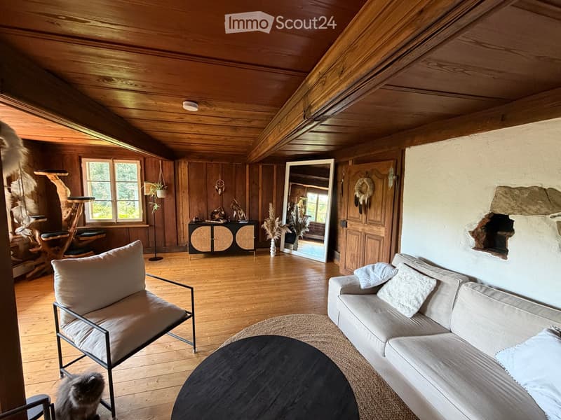 Cozy living room with wooden walls and ceiling, featuring a sofa, armchair, coffee table, cat tree, and cabinet. Natural light from large windows illuminates the space.