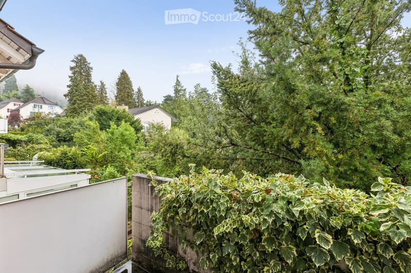 A lush garden area with dense green foliage, a low hedge, and a view of neighboring houses and trees in the background.