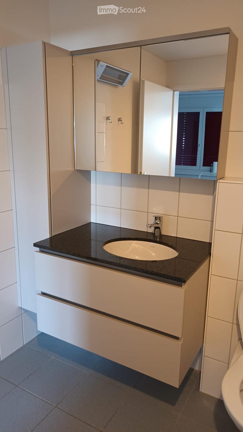 Modern bathroom with a white cabinet, black countertop, and a sink with a chrome faucet. A mirror is mounted above the sink, and a small window is visible in the background.