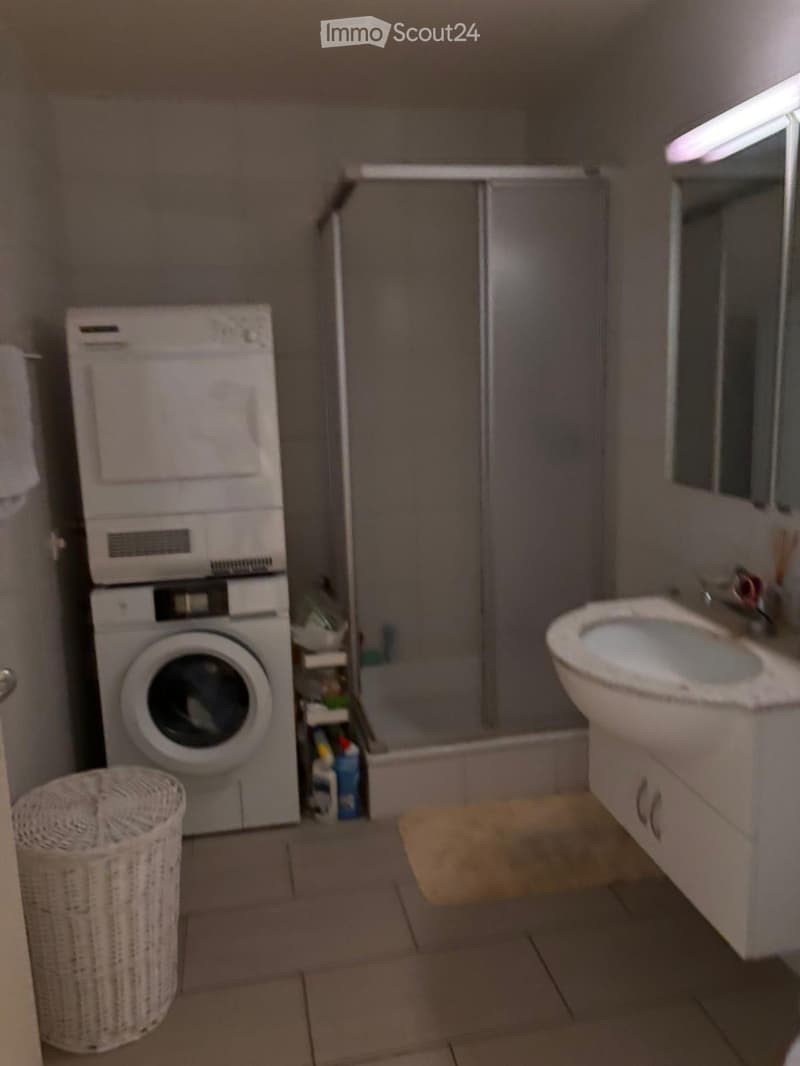 Bathroom with a washing machine, toilet, sink, and shower stall. Includes a wicker basket on the floor and a small shelf with cleaning supplies.