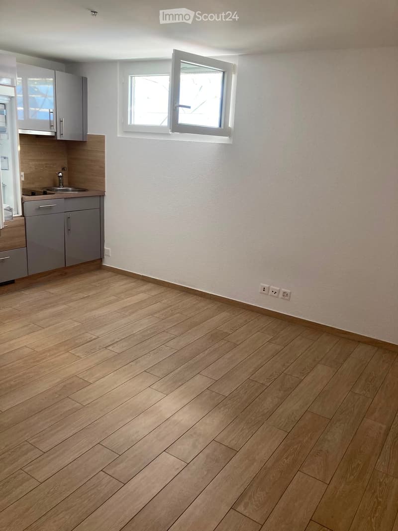 Empty kitchen with light wooden flooring, grey cabinets, and a small sink area. The space is clean and unfurnished, with no appliances or furniture present.