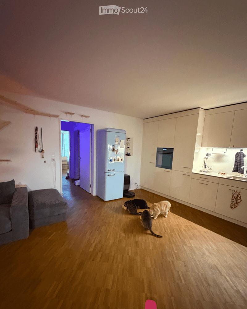 Open-plan living and kitchen area with wooden flooring, a grey sofa, a light blue refrigerator, white kitchen cabinets, and three cats.