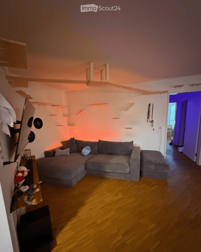 Modern living room with a grey sectional sofa, wooden floor, shelves, and a TV on a stand.