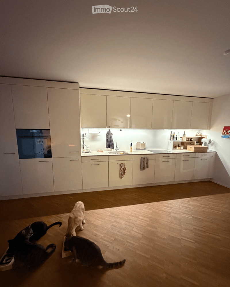 Modern kitchen with white cabinets, stainless steel appliances, and a wooden floor. Three cats are present in the foreground.