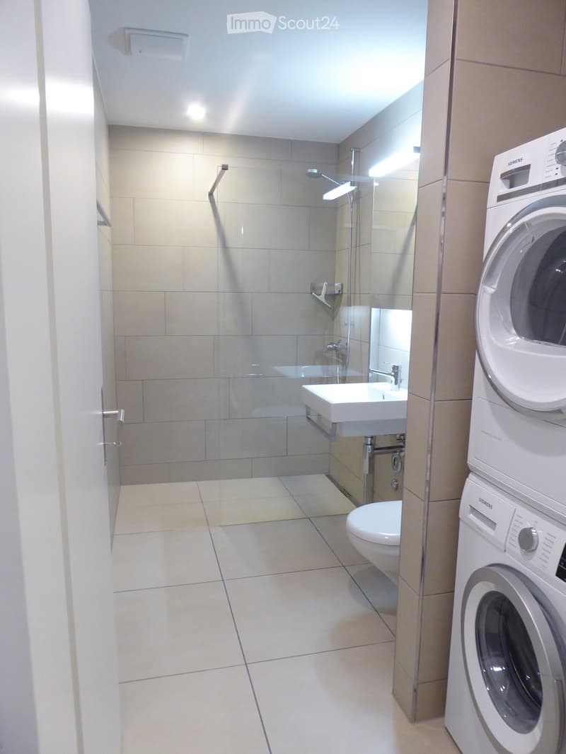 4.5 -Zimmer-Wohnung in Unterengstringen (3)