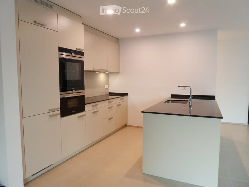 4.5 -Zimmer-Wohnung in Unterengstringen (2)