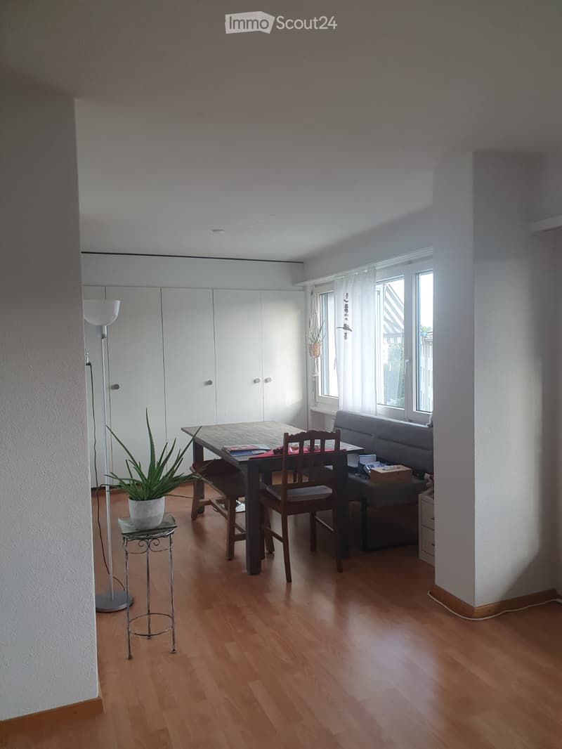Bright, open living and dining area with wooden flooring, large windows, a sofa, dining table with chairs, a floor lamp, and a potted plant on a side table.