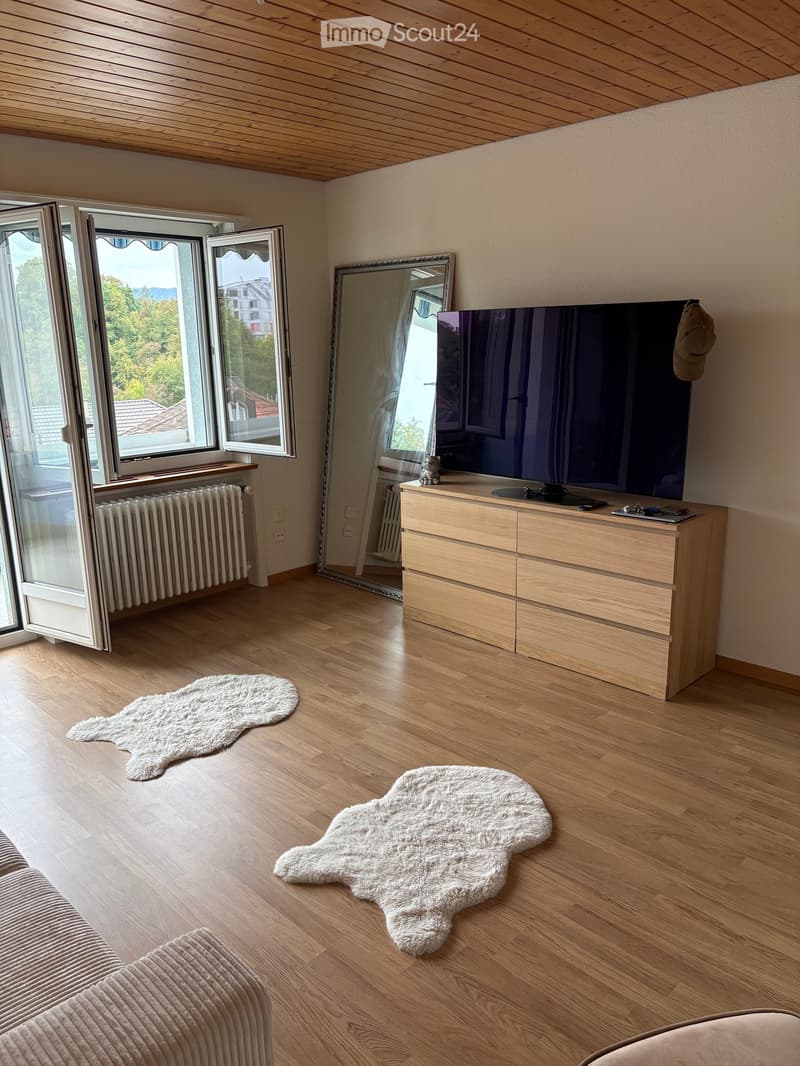 Modern living room with wooden flooring, large windows, a sofa, a television on a wooden stand, and two furry rugs.