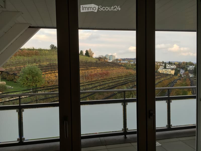 Balcony with modern glass railing, overlooking a vineyard-covered hillside and distant cityscape.