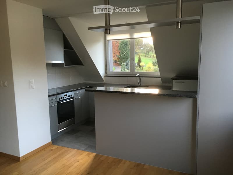 Modern kitchen with wooden flooring, stainless steel appliances, and a large window overlooking a green area.