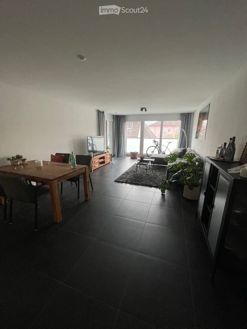 A modern, open-plan living and dining area with dark tiled flooring, a large sofa, a wooden dining table with chairs, a television on a stand, and several potted plants. The room features large windows with curtains and a view of a bicycle outside.