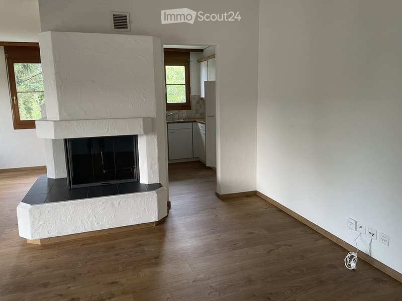 Empty room with wooden flooring, white walls, and a fireplace with a black insert. A small kitchen area is visible in the background.