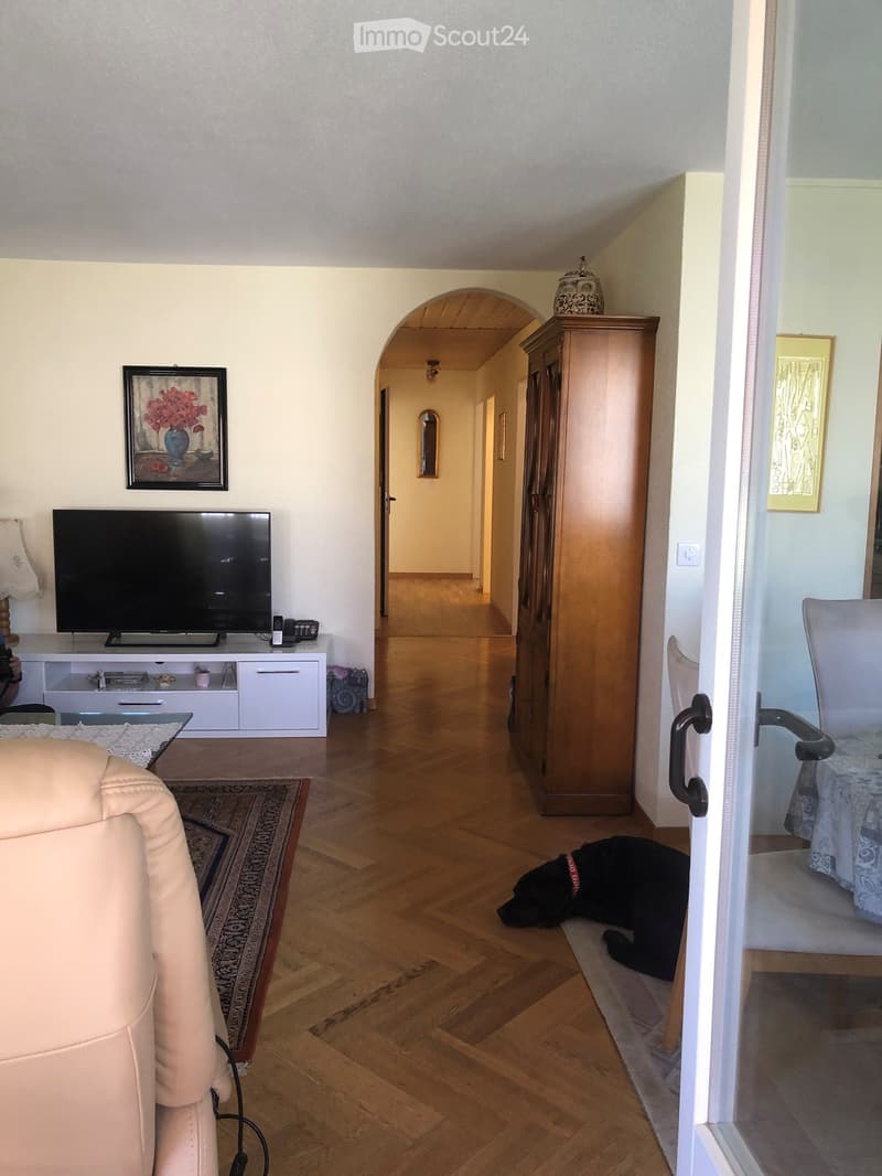 Living room with wooden flooring, a cream-colored sofa, a glass coffee table, a flat-screen TV on a white stand, a wooden cabinet, and a black dog resting on a rug.