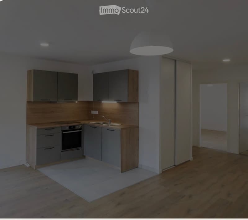 Modern kitchen with grey cabinets, wooden accents, built-in oven, sink, and pendant light. The floor is wooden, and the space is well-lit with under-cabinet lighting.