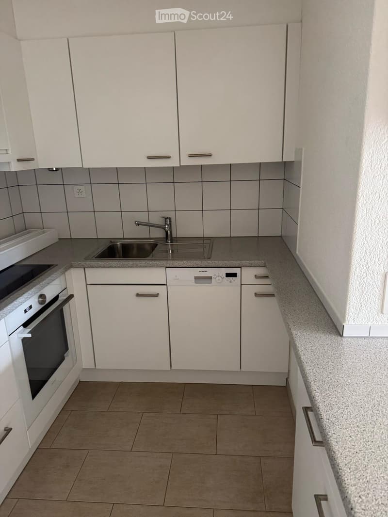 Modern kitchen with white cabinets, stainless steel sink and faucet, built-in oven, and dishwasher. Grey tiled backsplash and granite countertop.