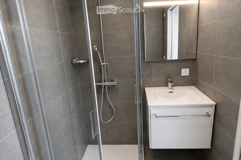 Modern bathroom with a white sink, mirror, and a glass-enclosed shower area with a handheld showerhead.