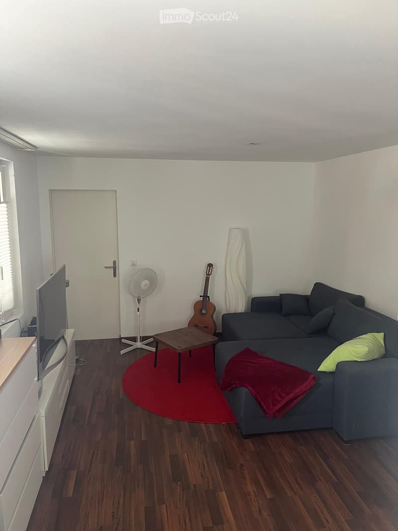 Modern living room with wooden flooring, a grey sectional sofa with cushions, a small wooden coffee table, a red circular rug, a standing fan, a guitar, and a television on a wooden stand.