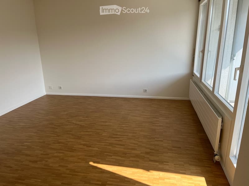 Duplex-/Maisonette-Wohnung in Basel (7)