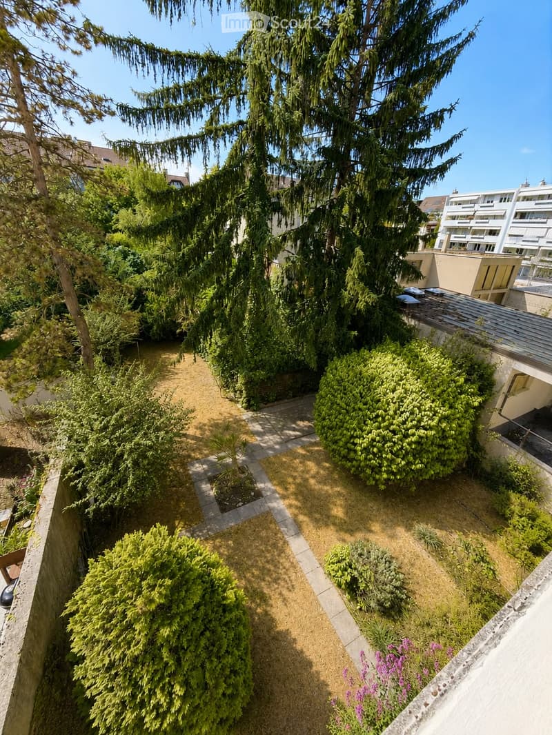 A well-maintained garden area with a pathway, various shrubs, and trees, surrounded by buildings and a clear blue sky.