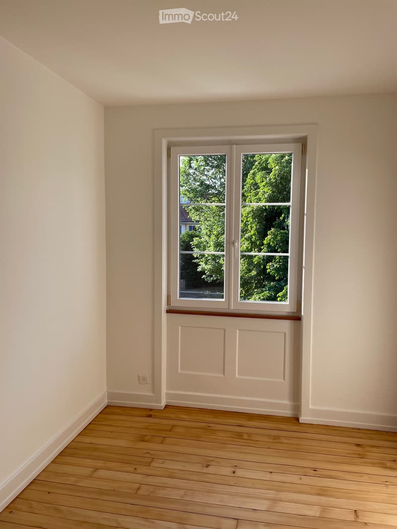 Empty room with light-colored walls, wooden flooring, and a large window with white frames showing greenery outside.