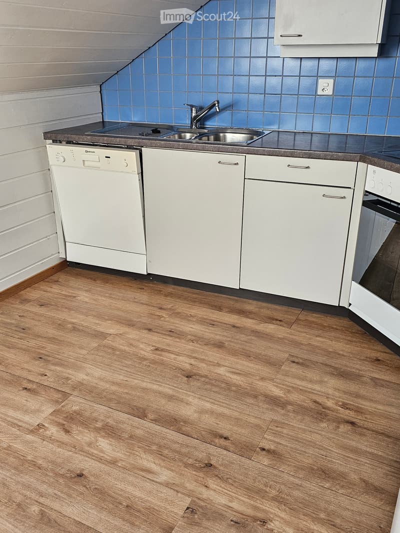 Modern kitchen with white cabinets, a dishwasher, a sink with a faucet, and wooden flooring.