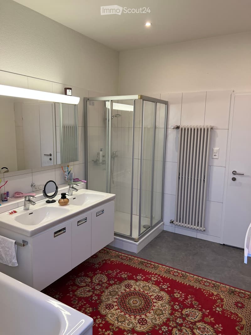 Modern bathroom with double sink, large mirror, glass shower enclosure, radiator, and patterned red rug.
