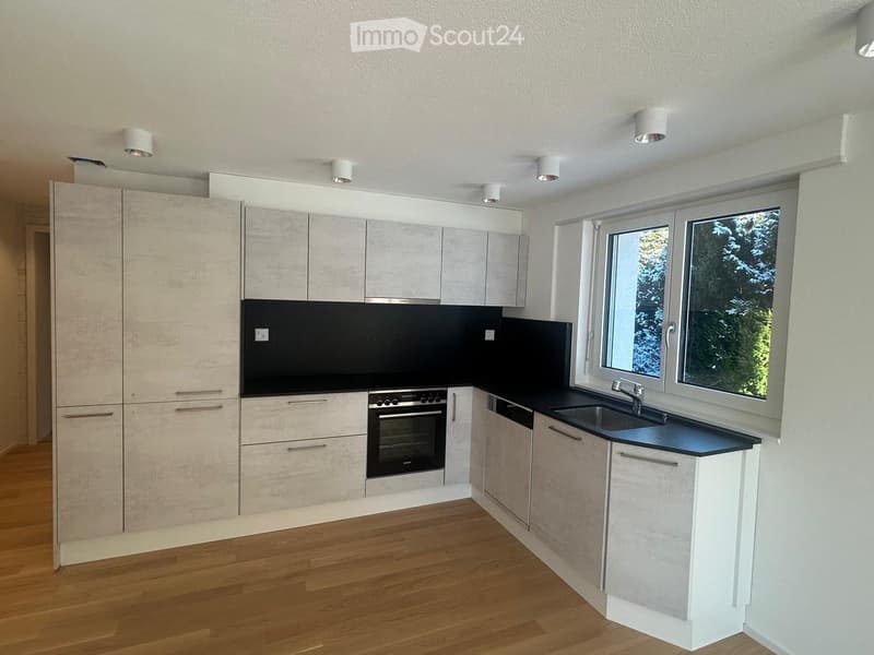 modern kitchen with wooden floor, built-in oven, dishwasher, kitchen cabinets, countertops, sink with faucet, large windows