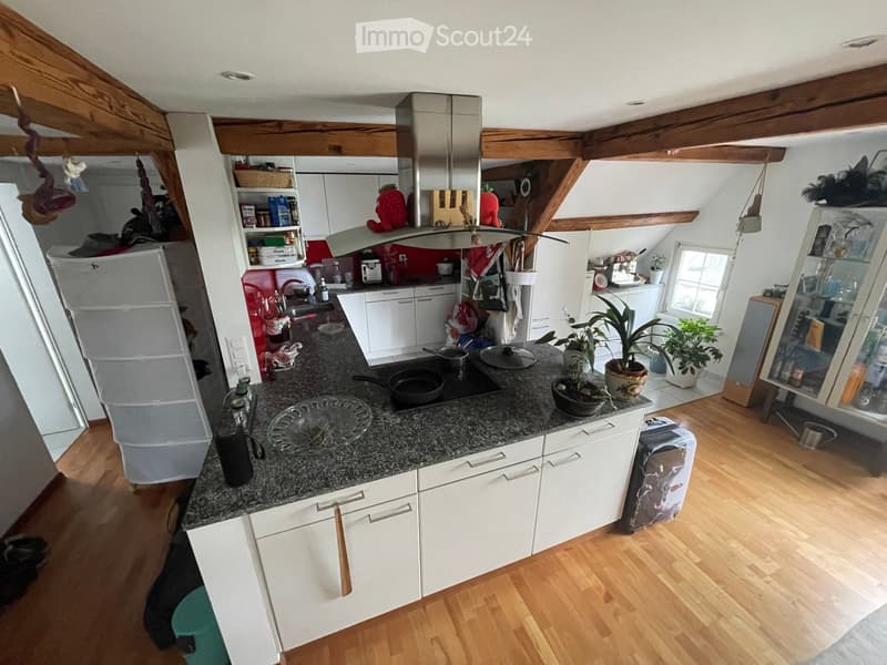 {"type": "Kitchen", "objects": ["refrigerator", "oven", "sink", "cabinets", "countertop", "faucet", "potted plants", "cupboard", "oven hood", "bottle", "frying pan", "oven mitt", "oven rack", "oven tray", "oven lid", "oven handle", "oven knob", "oven dial