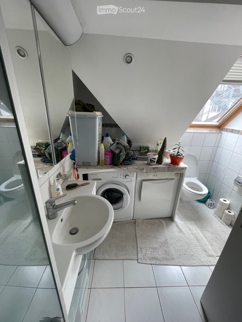 Compact bathroom with a sink, toilet, washing machine, and dishwasher. Includes a mirror, small plant, and various toiletries on the counter.