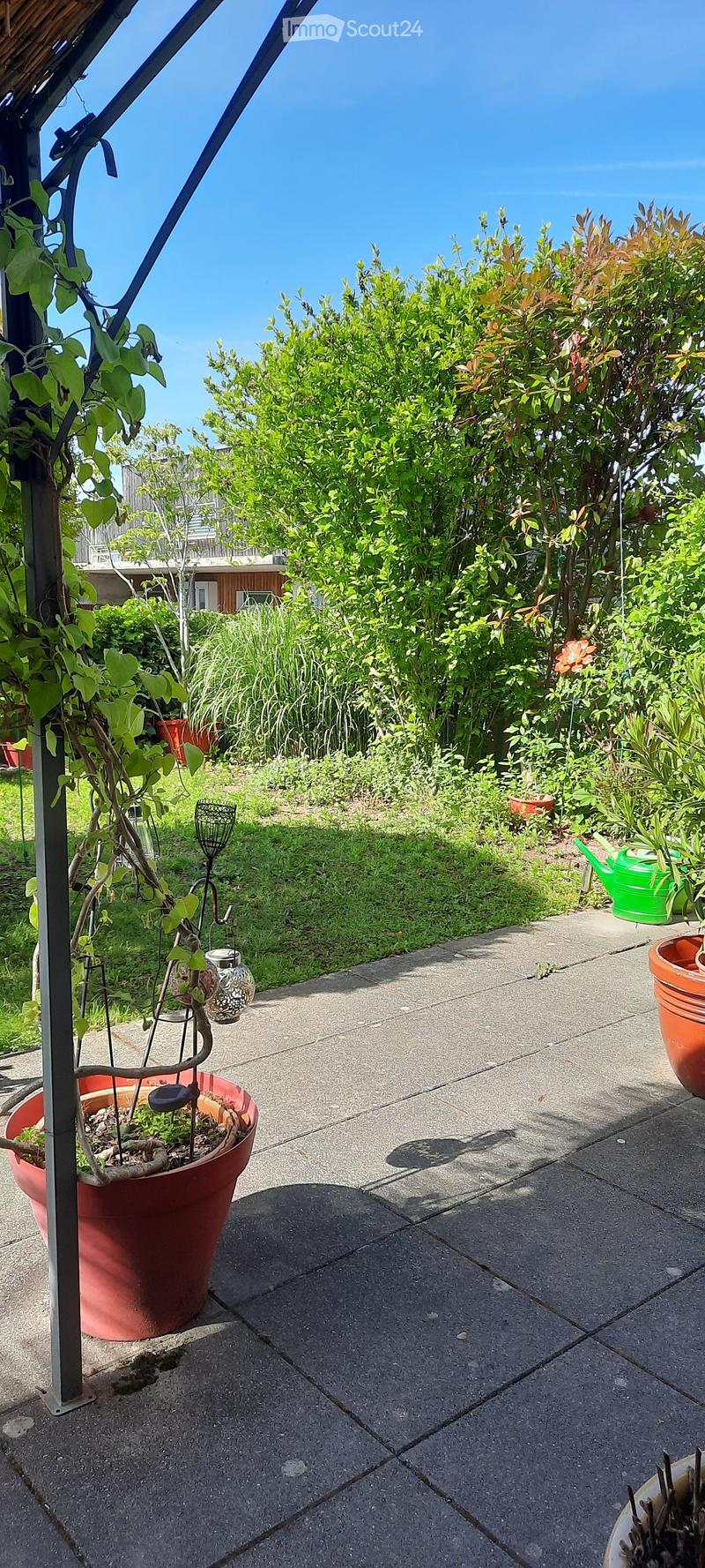 Garden area with concrete patio, potted plants, and lush greenery, including shrubs and trees, with a clear blue sky in the background.