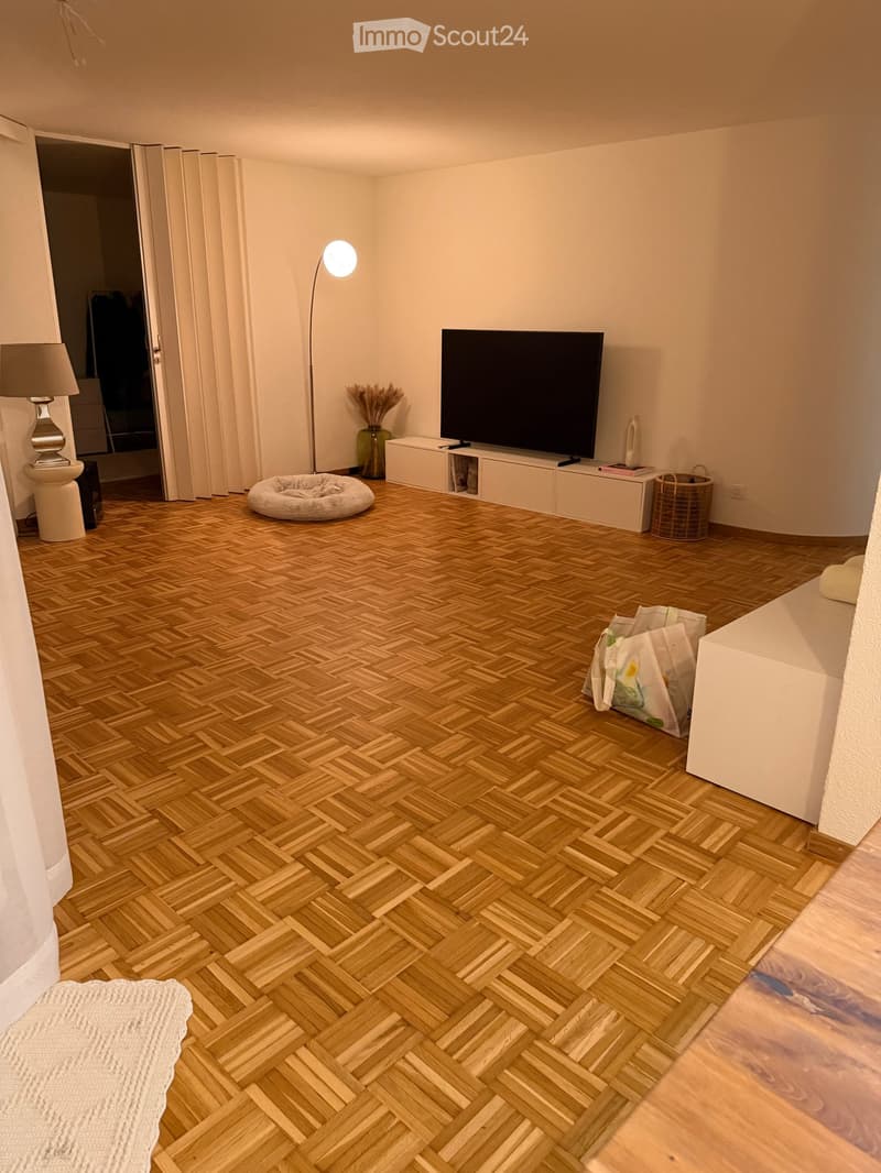 open floor plan, wooden parquet flooring, living room setup, LED lamp, television, white storage unit, basket