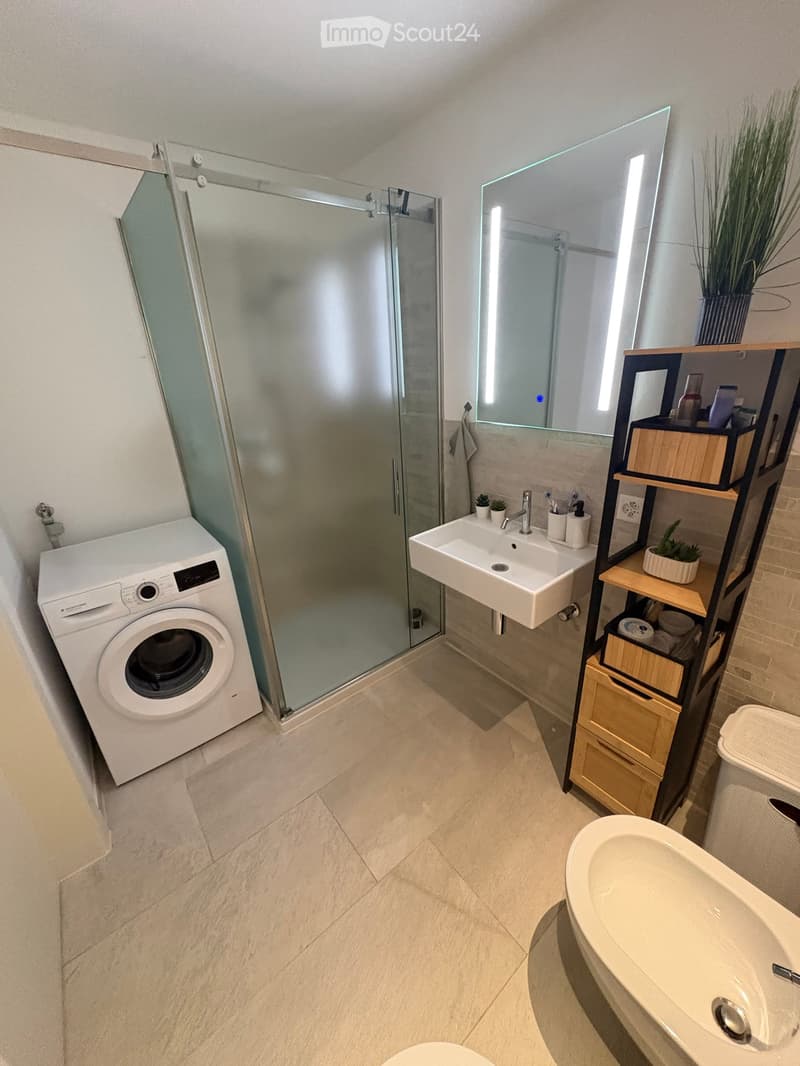 Modern bathroom with a white washing machine, a large mirror with LED lighting, a sink with a modern faucet, a bathtub, and a glass-enclosed shower. The room features a storage unit with wooden shelves and small potted plants.