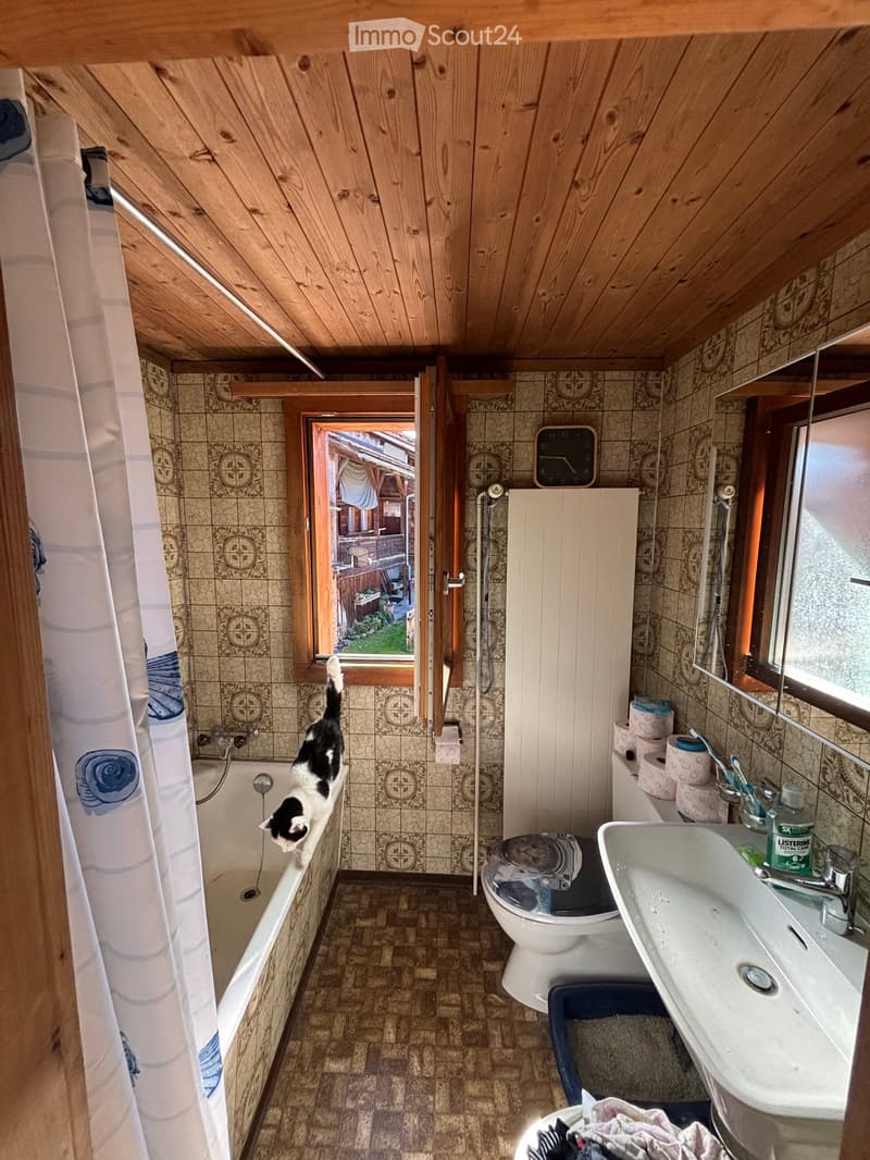 Bathroom with wooden ceiling, tiled walls, bathtub, toilet, sink, mirror, and a cat climbing on the edge of the bathtub. There is a window with a view of the garden.