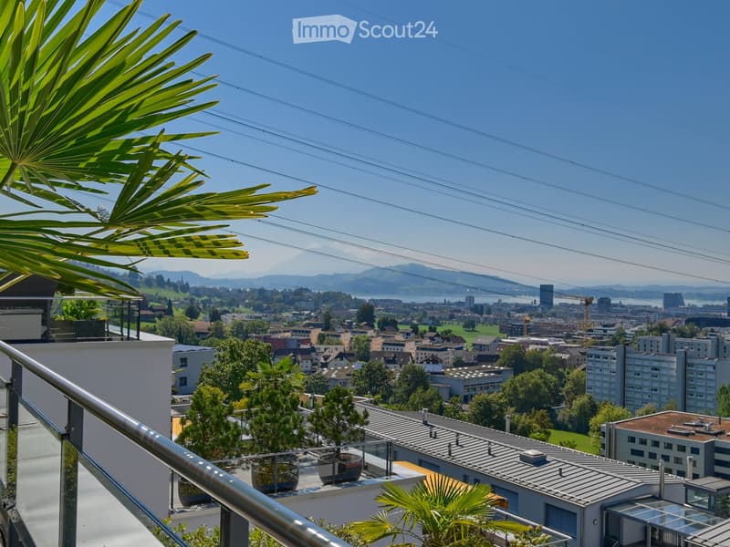 Balcony with a panoramic city view, featuring a metal railing, potted plants, and distant mountains.