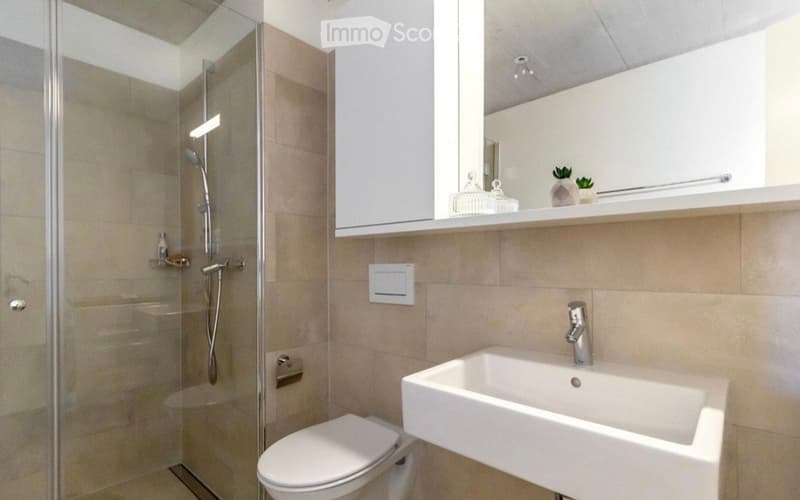 Modern bathroom with a white toilet, sink, and shower area. Features a large mirror with a cabinet above it, small decorative items on the shelf, and a sleek glass shower enclosure.