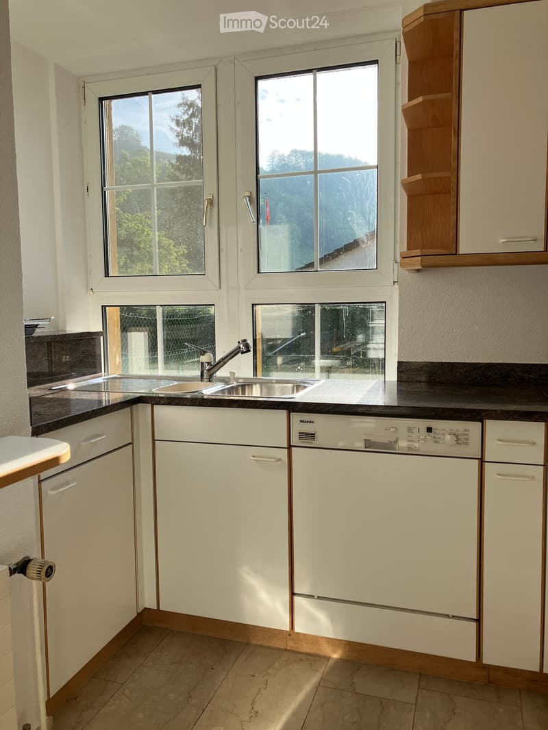 Modern kitchen with white cabinets, stainless steel sink, and dishwasher. Large windows provide natural light.