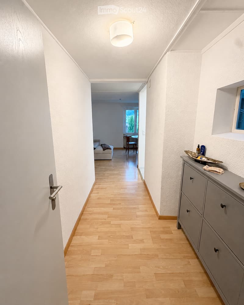 A well-lit hallway with light wooden flooring, white walls, and a modern ceiling light fixture. A small console table with decorative items is visible on the right side, and an open doorway leads to a living area with a sofa and dining table.