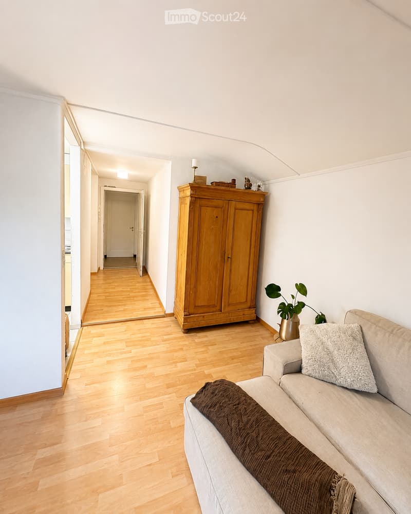 A cozy living room with light wooden flooring, a grey sofa with a brown blanket and white pillow, a wooden cabinet, and a small plant in a vase on a side table.