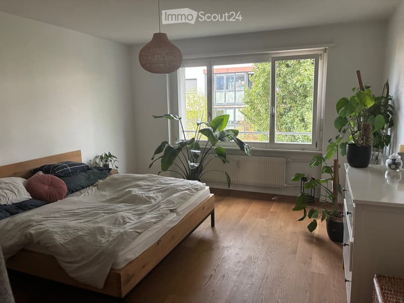 Cozy bedroom with wooden flooring, large window, bed with pillows and blankets, nightstand, dresser, and potted plants.