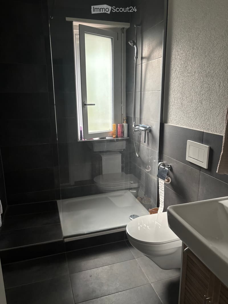 Modern bathroom with dark grey tiles, a white toilet, a sink, a glass-enclosed shower, and a towel hanging on the wall.