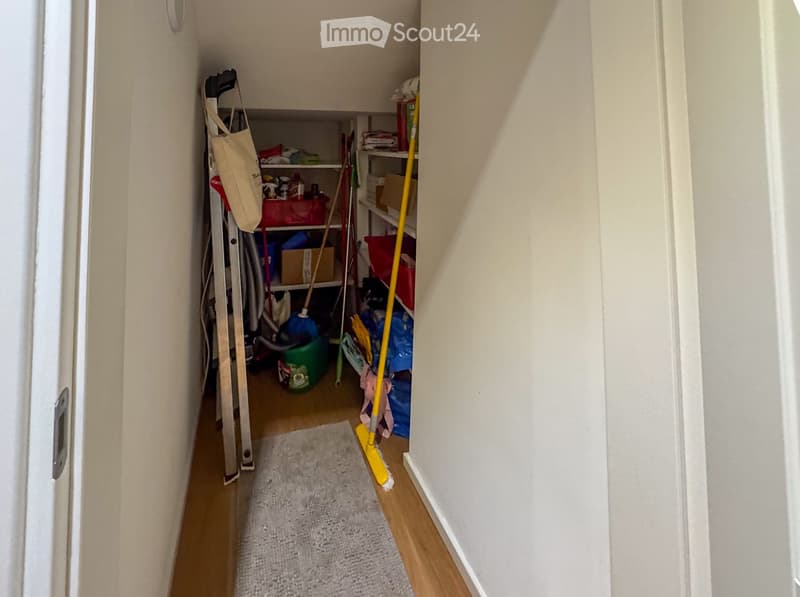 A narrow hallway with wooden flooring, a small rug, and shelves filled with cleaning supplies and storage boxes.