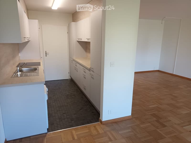 Empty kitchen area with white cabinets, a sink, and a wooden floor, connected to a wooden-floored room.