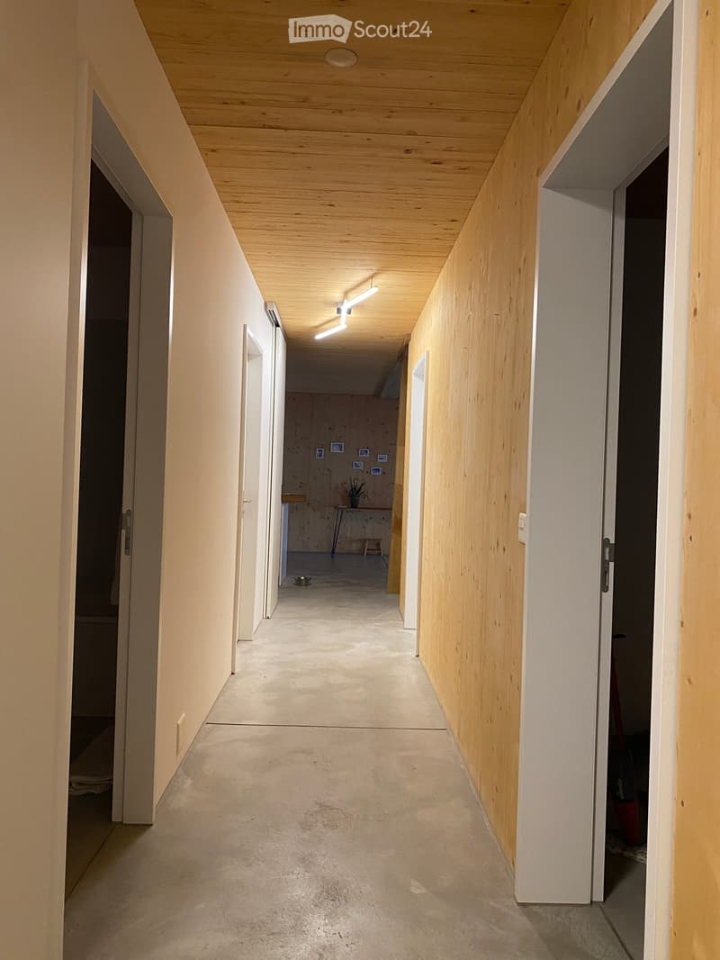 Modern hallway with wooden ceiling, concrete floor, and white walls. Features recessed lighting and open doorways leading to other rooms.