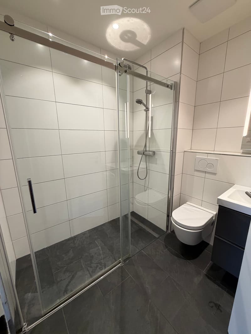 Modern bathroom with white tiles, dark grey floor, glass shower enclosure, toilet, sink, and shower handle.