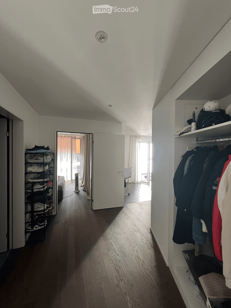 A narrow hallway with wooden flooring, white walls, and built-in storage shelves on one side. A shoe rack is visible on the left, and a closet with hanging clothes is on the right. The hallway leads to an open doorway with a view of another room.