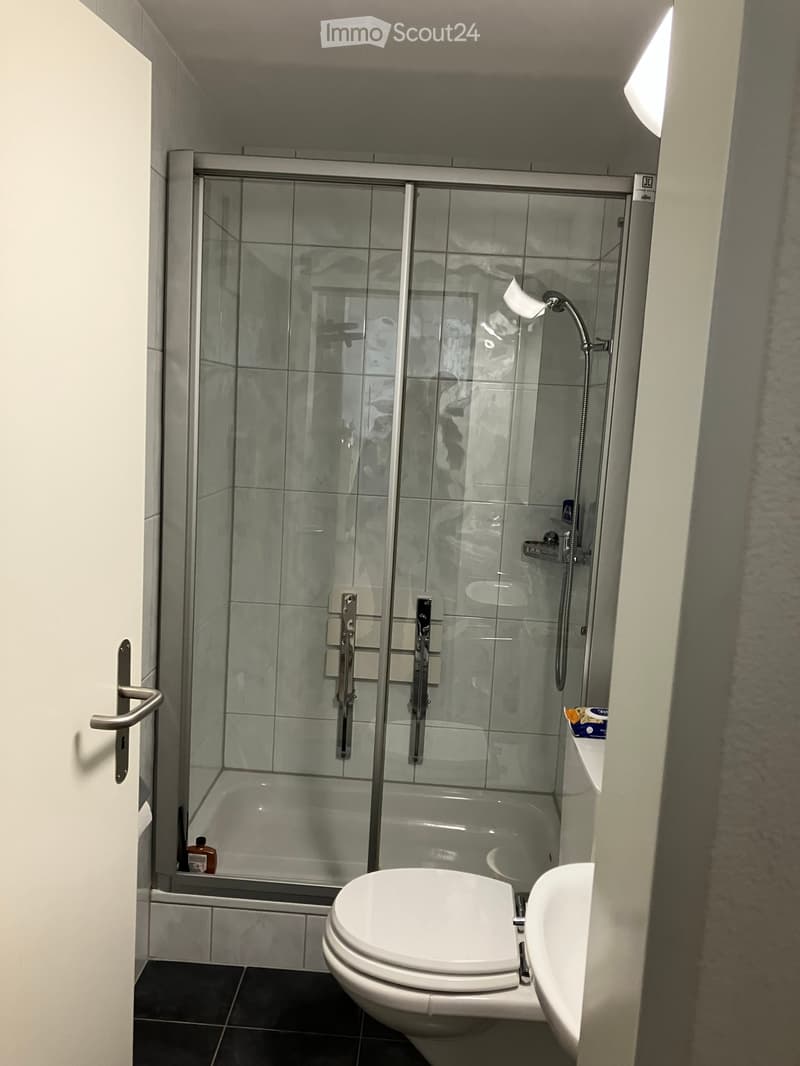 Bathroom. Modern bathroom with a glass-enclosed shower, toilet, sink, and a small shelf holding toiletries.