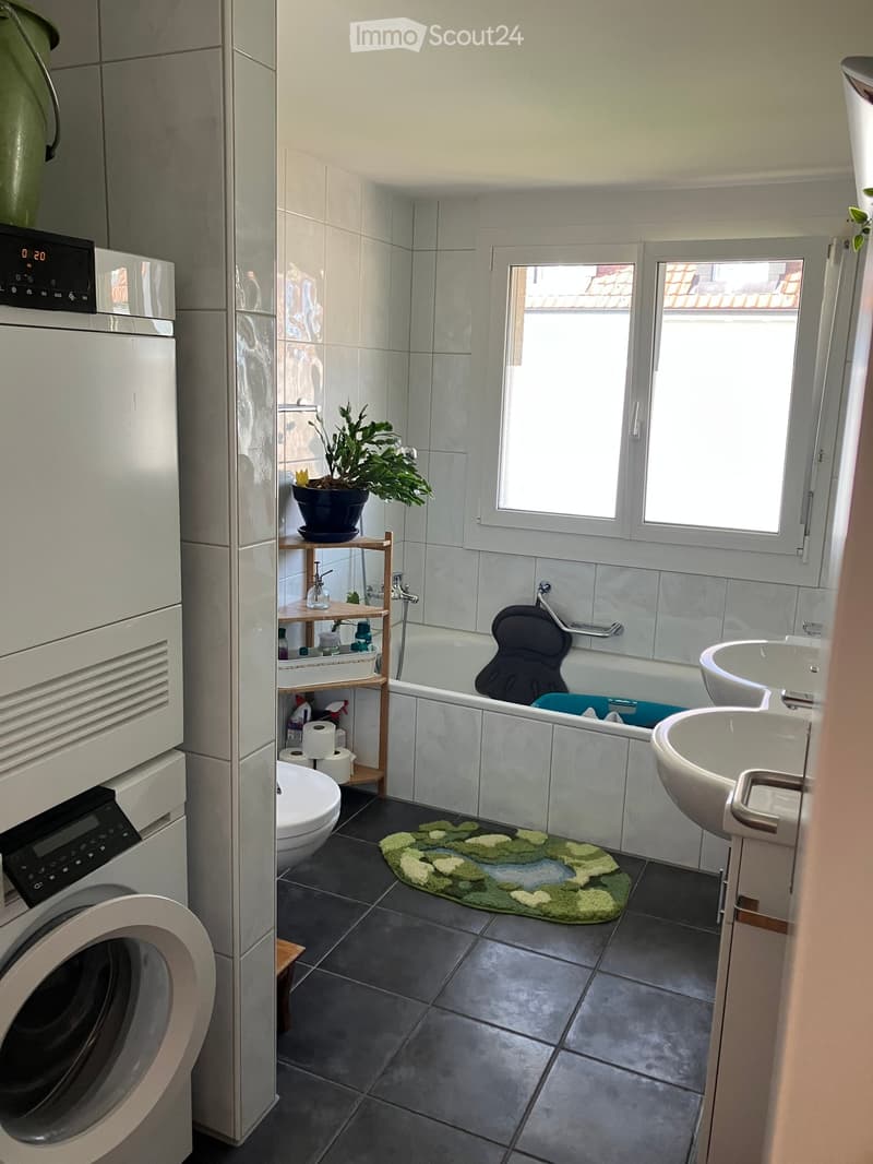 Bathroom. Bathroom with a bathtub, sink, toilet, washing machine, shelf with toiletries, and a small plant on the shelf. The room features a dark tiled floor and a green bath mat.