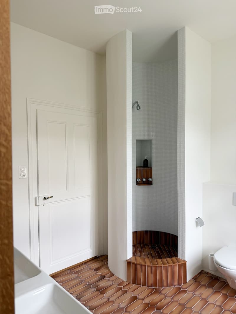 Modern bathroom with hexagonal brown tiles, white walls, a toilet, a shower area with a built-in shelf, and a door with a silver handle.